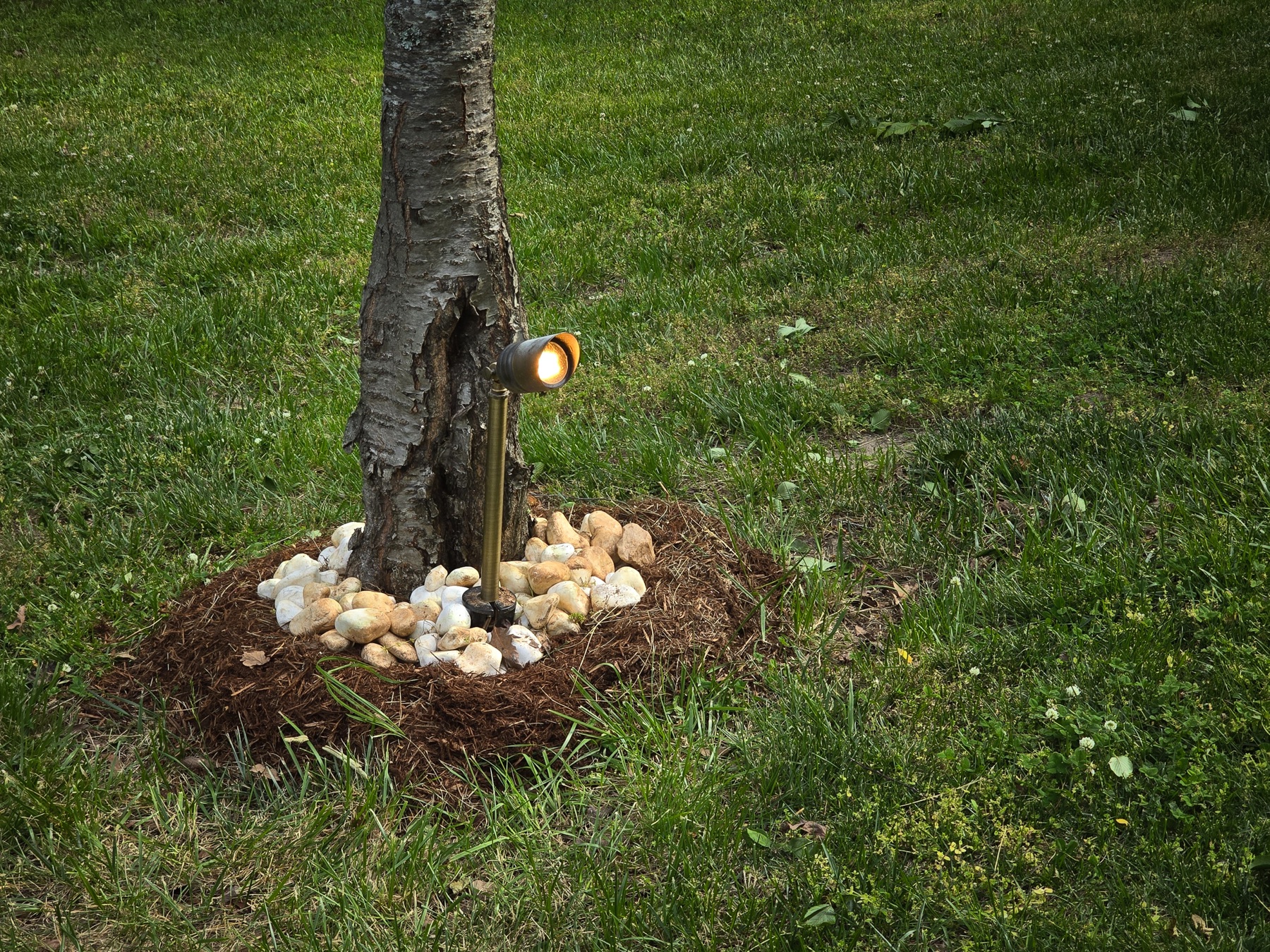 Ground-mounted landscape spotlight installed beside a tree with decorative stone edging